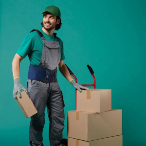 Ceinture de Soutien Lombaire Lombacross Activity